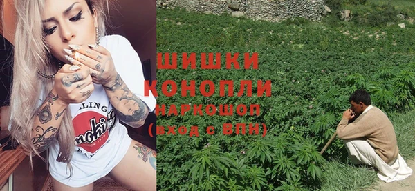 PSILOCYBIN Усинск