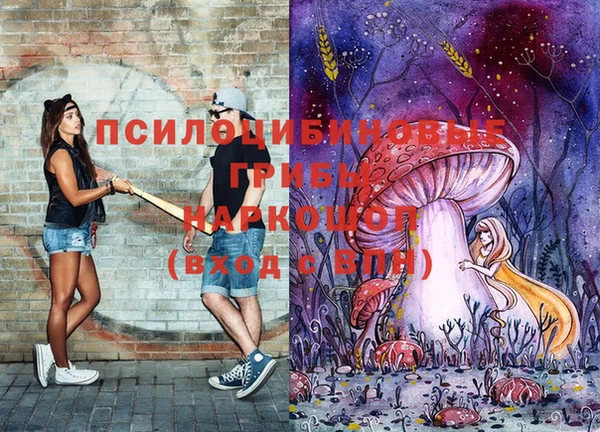 a pvp Зеленодольск