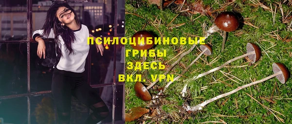 PSILOCYBIN Каменногорск